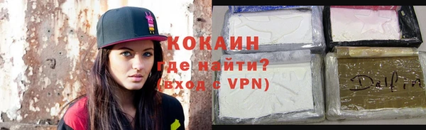 прущие грибы Беломорск