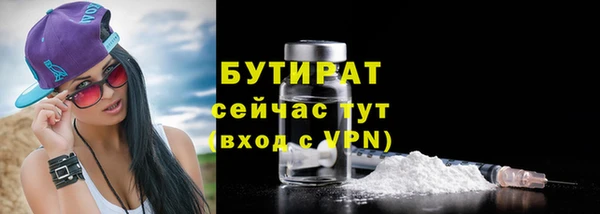 прущие грибы Беломорск