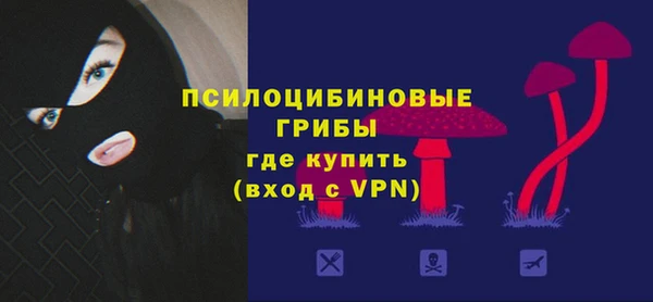 прущие грибы Беломорск