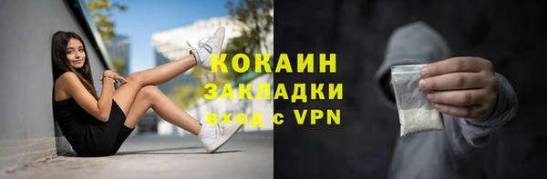 стаф Белокуриха