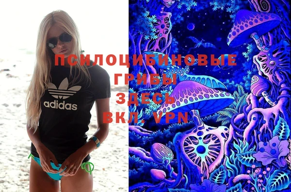 прущие грибы Беломорск