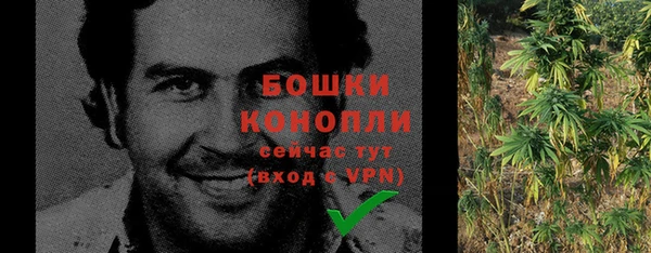 стаф Белокуриха