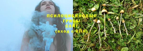 прущие грибы Беломорск