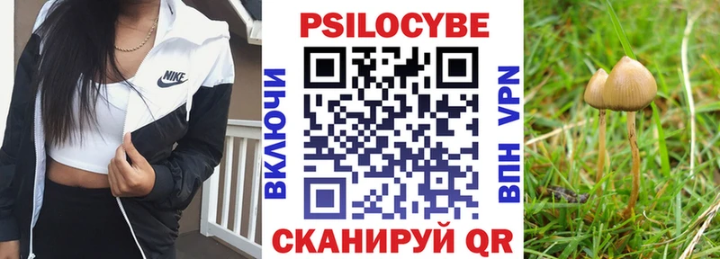 Галлюциногенные грибы GOLDEN TEACHER  Купить где  Старая Русса 